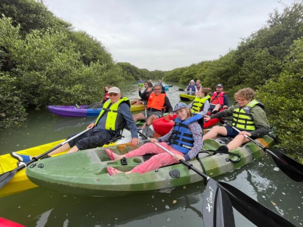 mangrove tree tours & travel eldoret